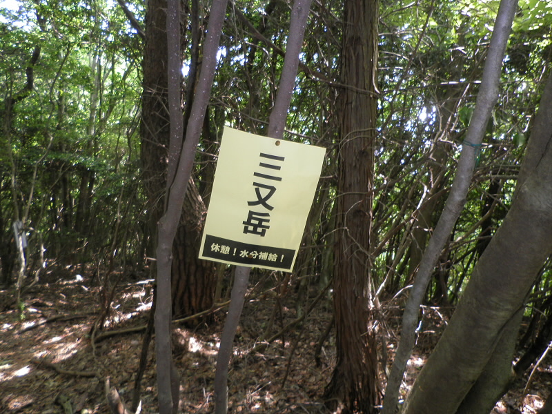 2015/06/13 11:25:15 三又岳