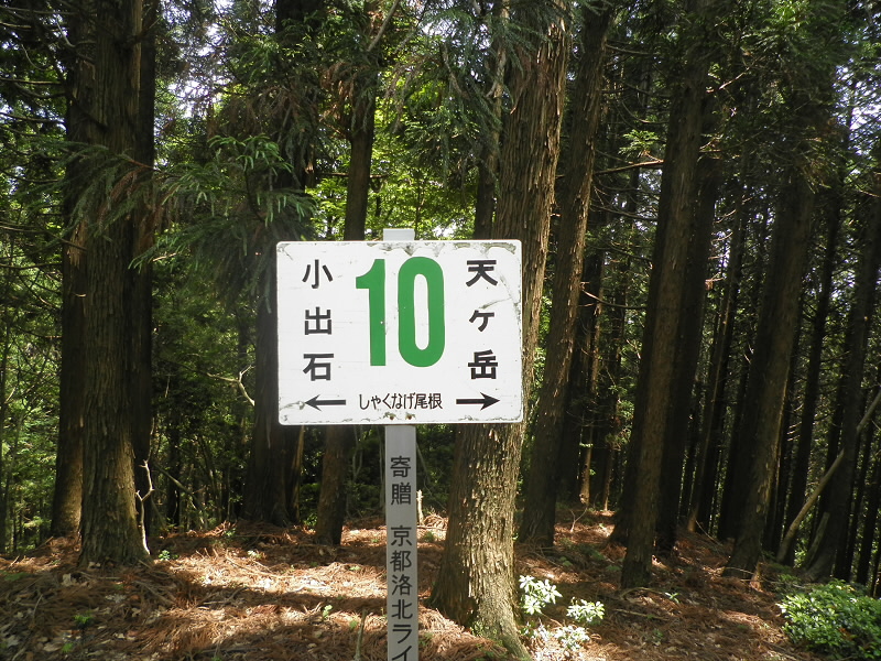 2015/06/13 12:14:38 しゃくなげ尾根