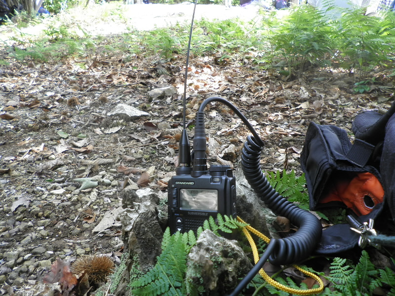 2015/06/13 12:33:19 本日の無線