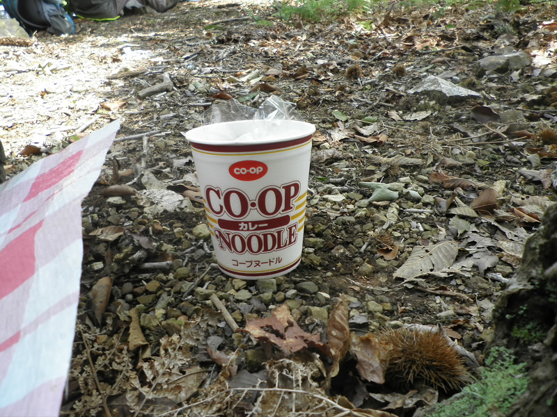 2015/06/13 12:33:32 今日のお昼