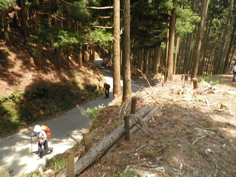 林道から鞍馬街道