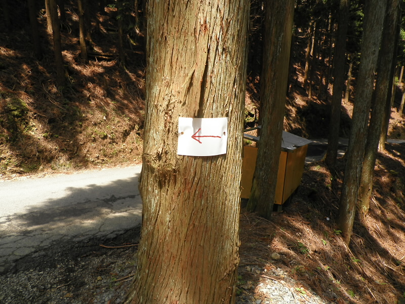 2015/06/13 13:05:08 百井峠