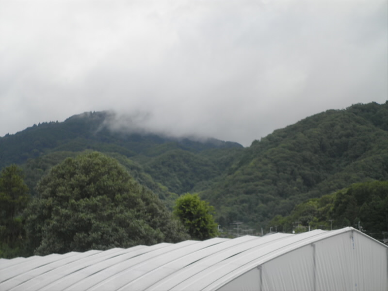 比叡山は雲の中。
