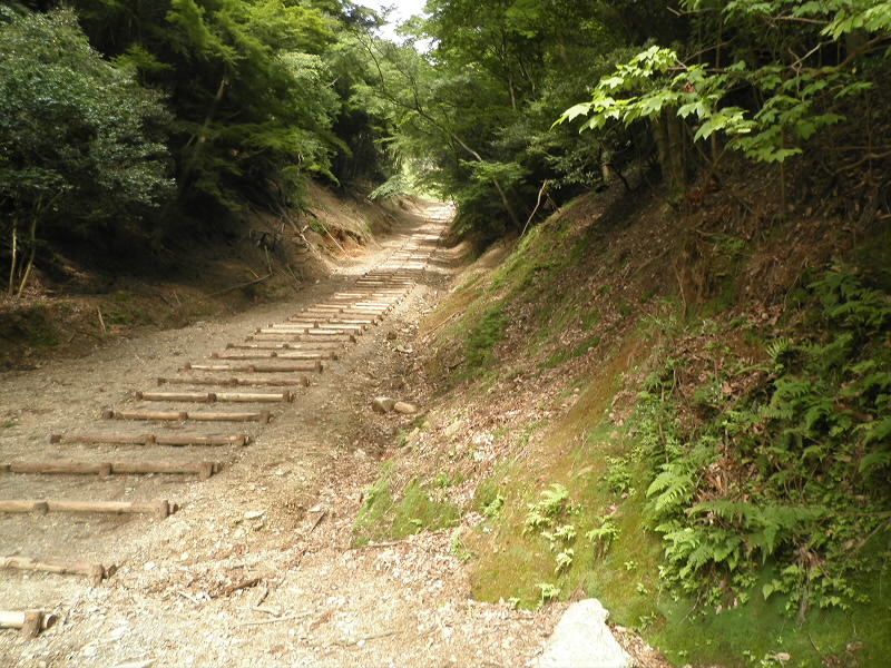 2015/07/12 14:38:52 参道