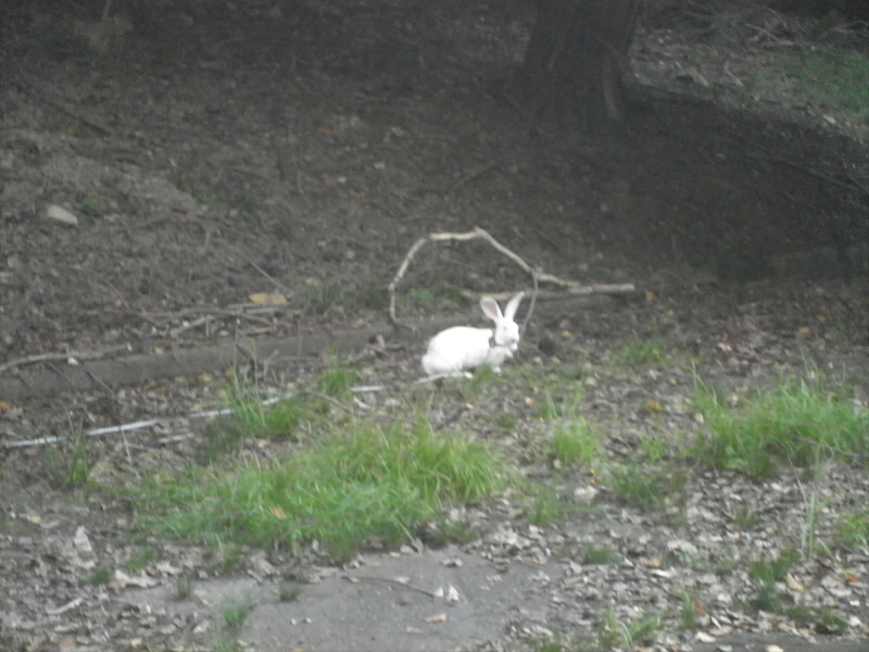 2015/09/23 10:58:48 疏水