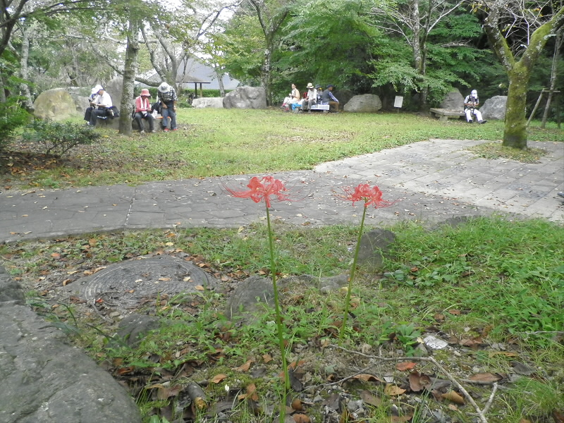 １２時になるので、参加者の多くはここでお昼を取られました。
