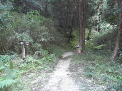 ここから山道になります。