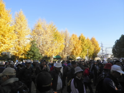 2016/11/26 09:31:14 伏見港公園