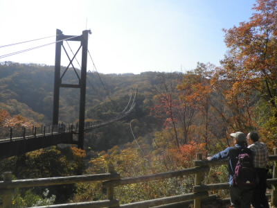 ちょっと、紅葉がたりないですが。
渡るとやっぱし少し揺れていますねぇ。
