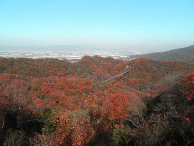ちょっと、紅葉を強調しました。