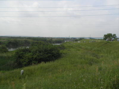 宇治川河畔をしばらく歩きました。
草の香りがいっぱいで、気持ちがいいです。