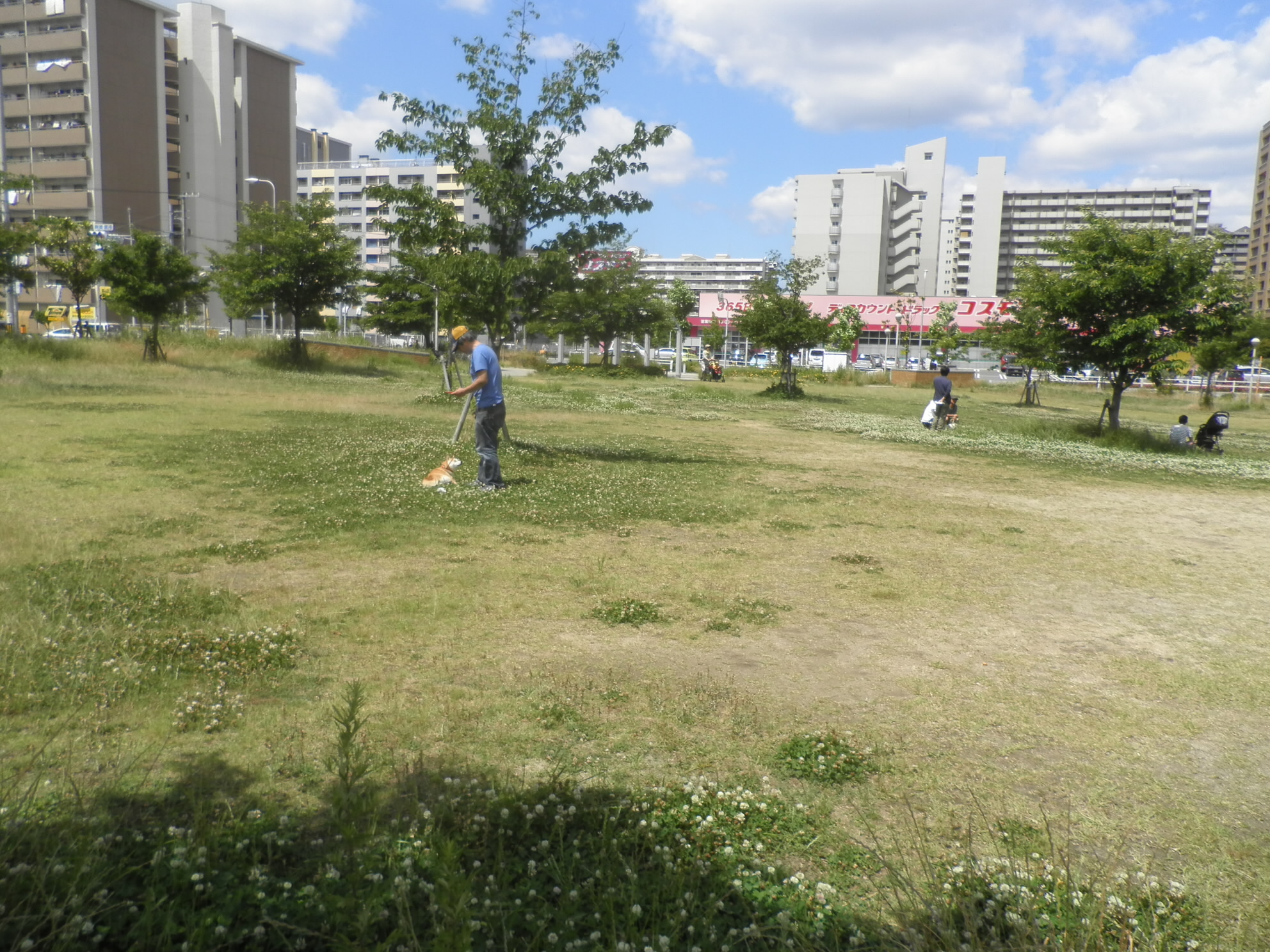 2017/06/04 10:24:22 高見新家公園