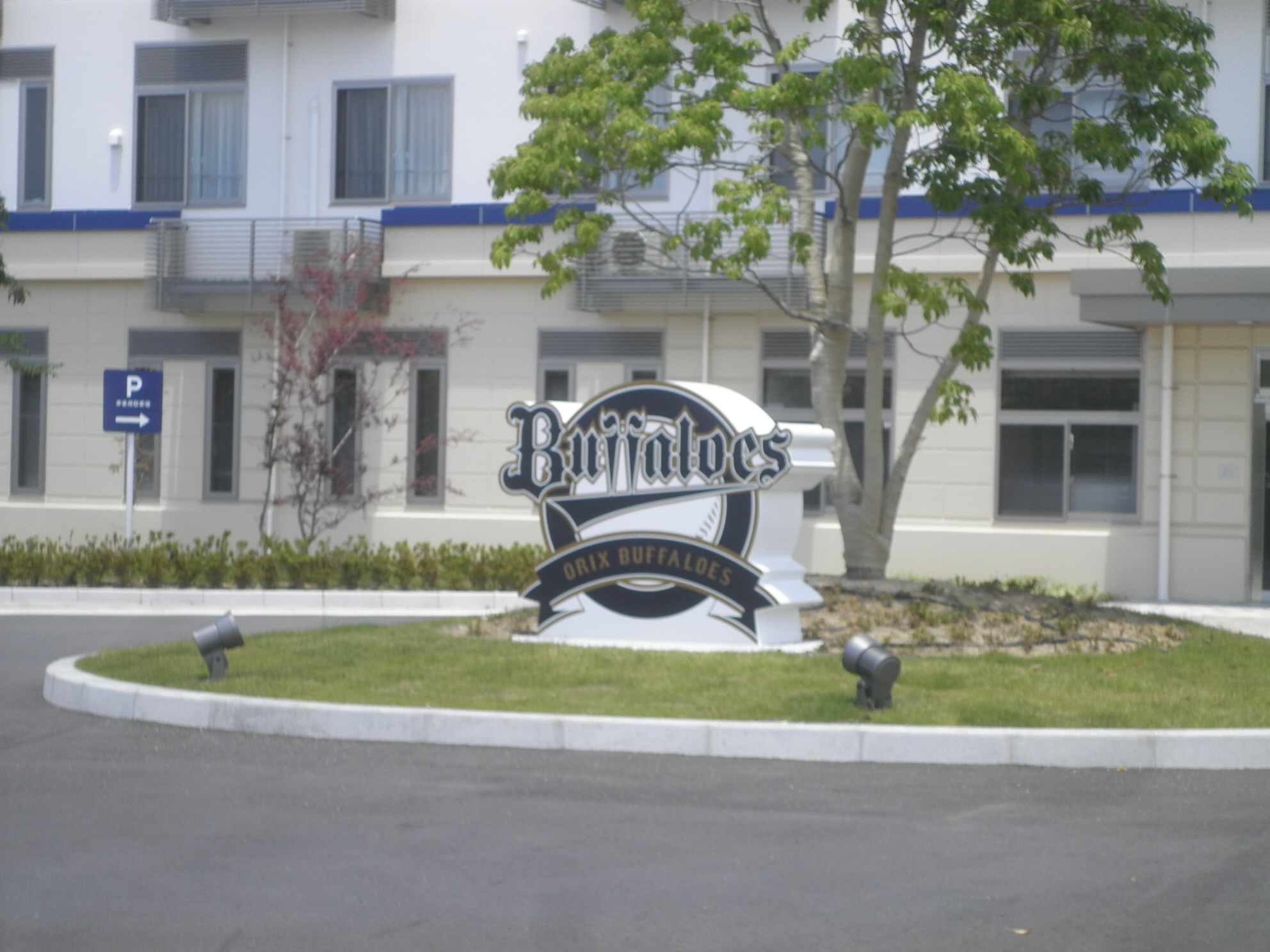 2017/06/04 11:55:20 舞洲