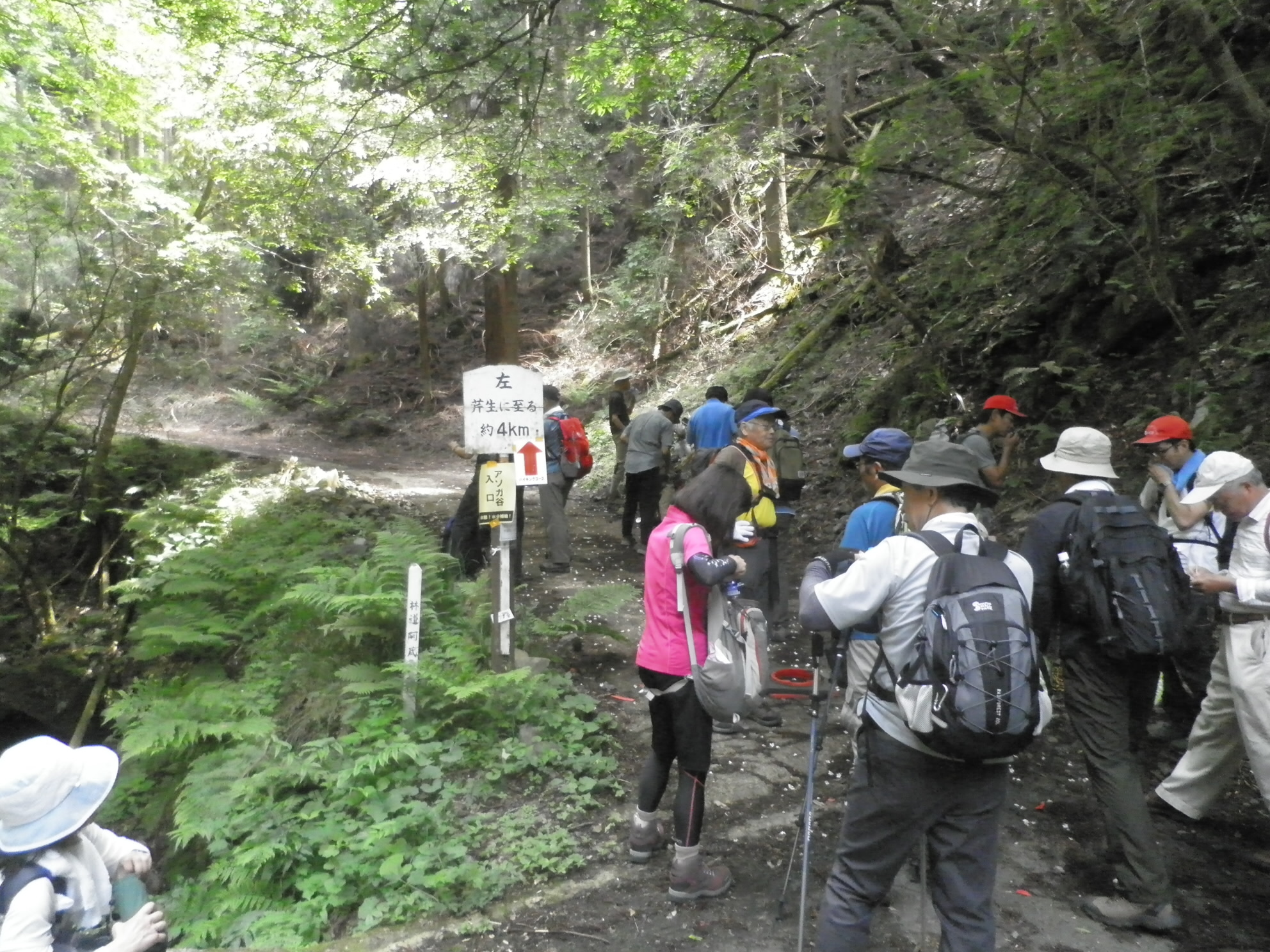 アソガ谷の入り口