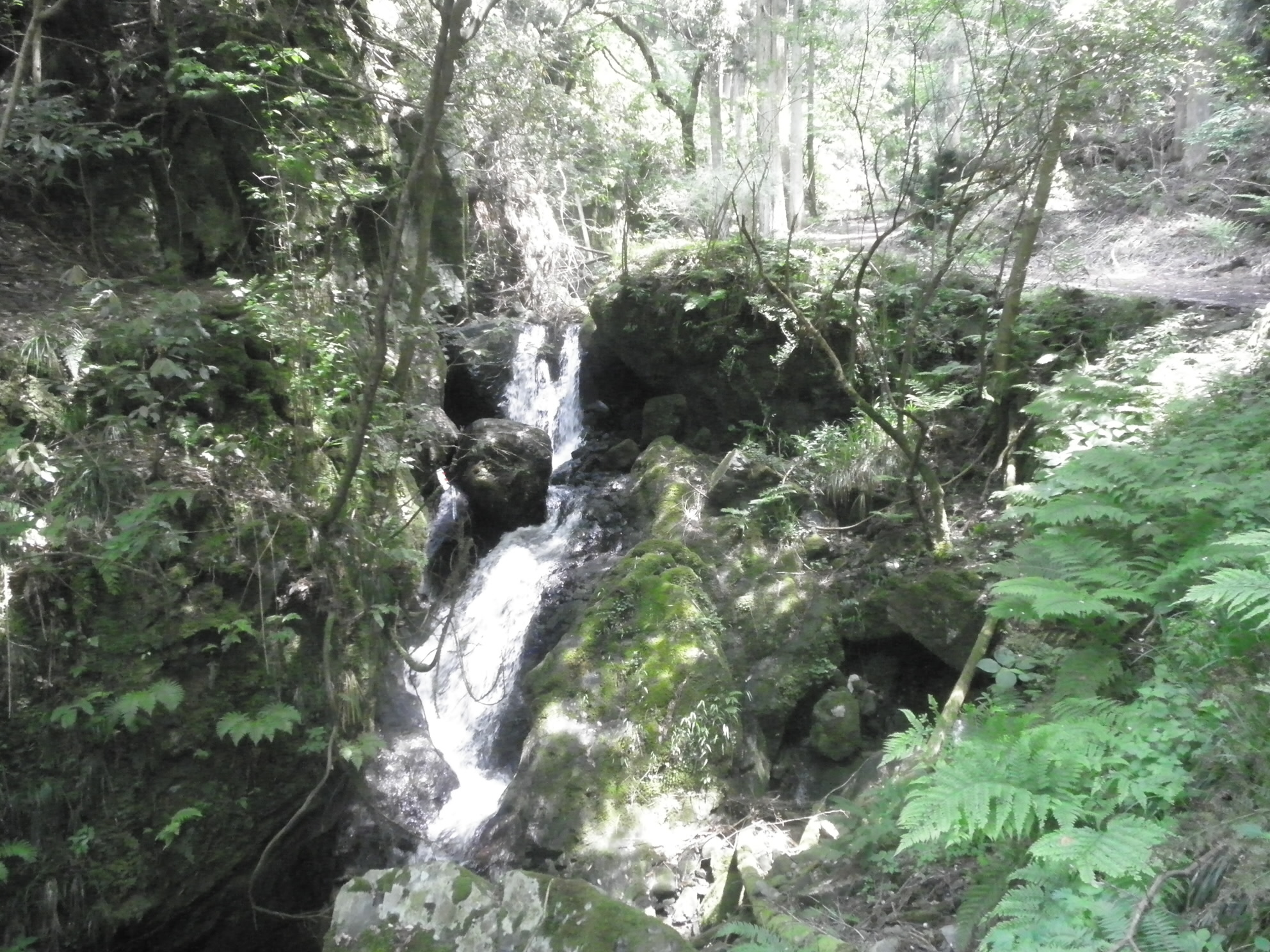 2017/06/10 10:57:35 アソガ谷