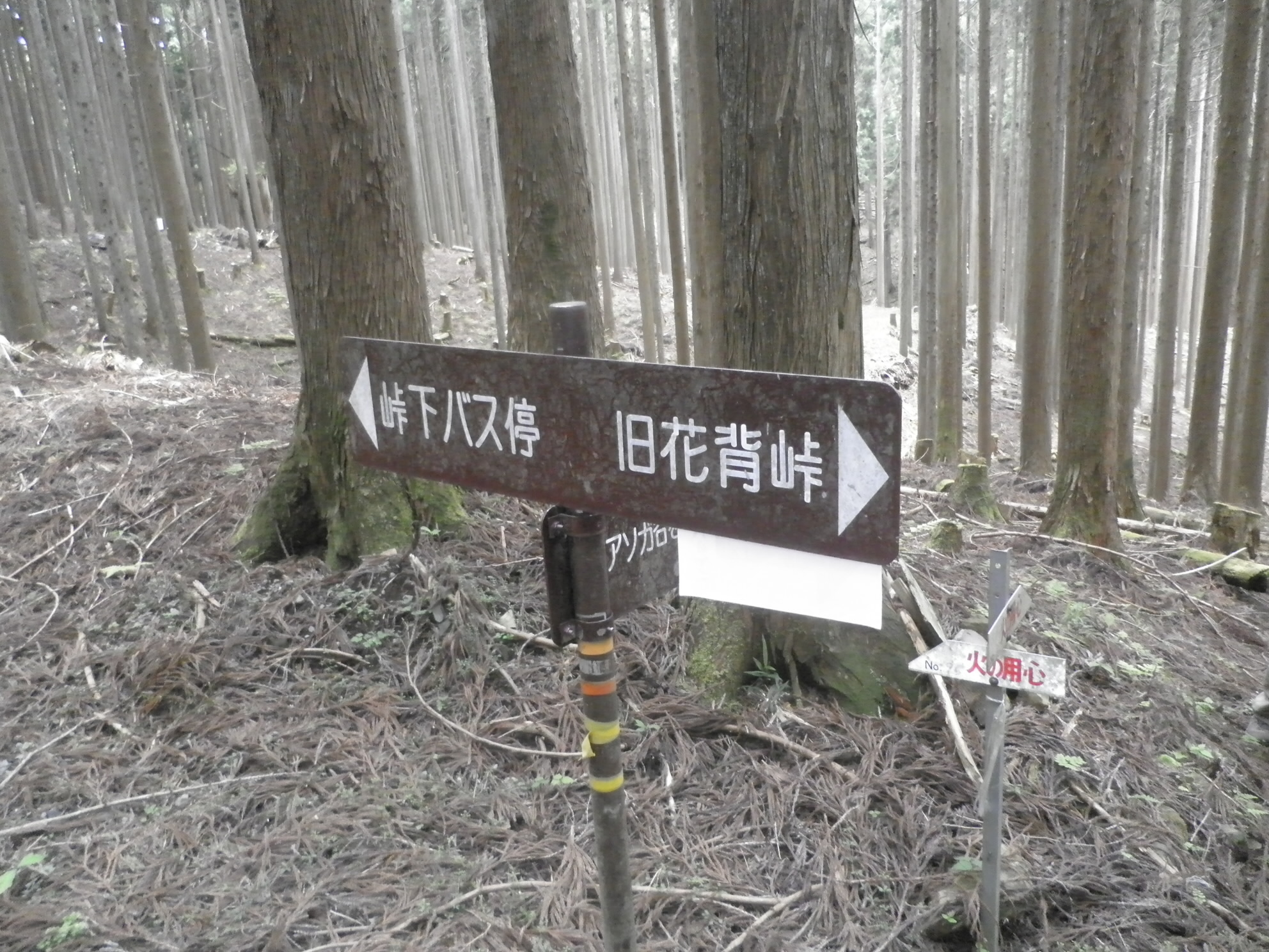 2017/06/10 11:51:41 旧花脊峠
