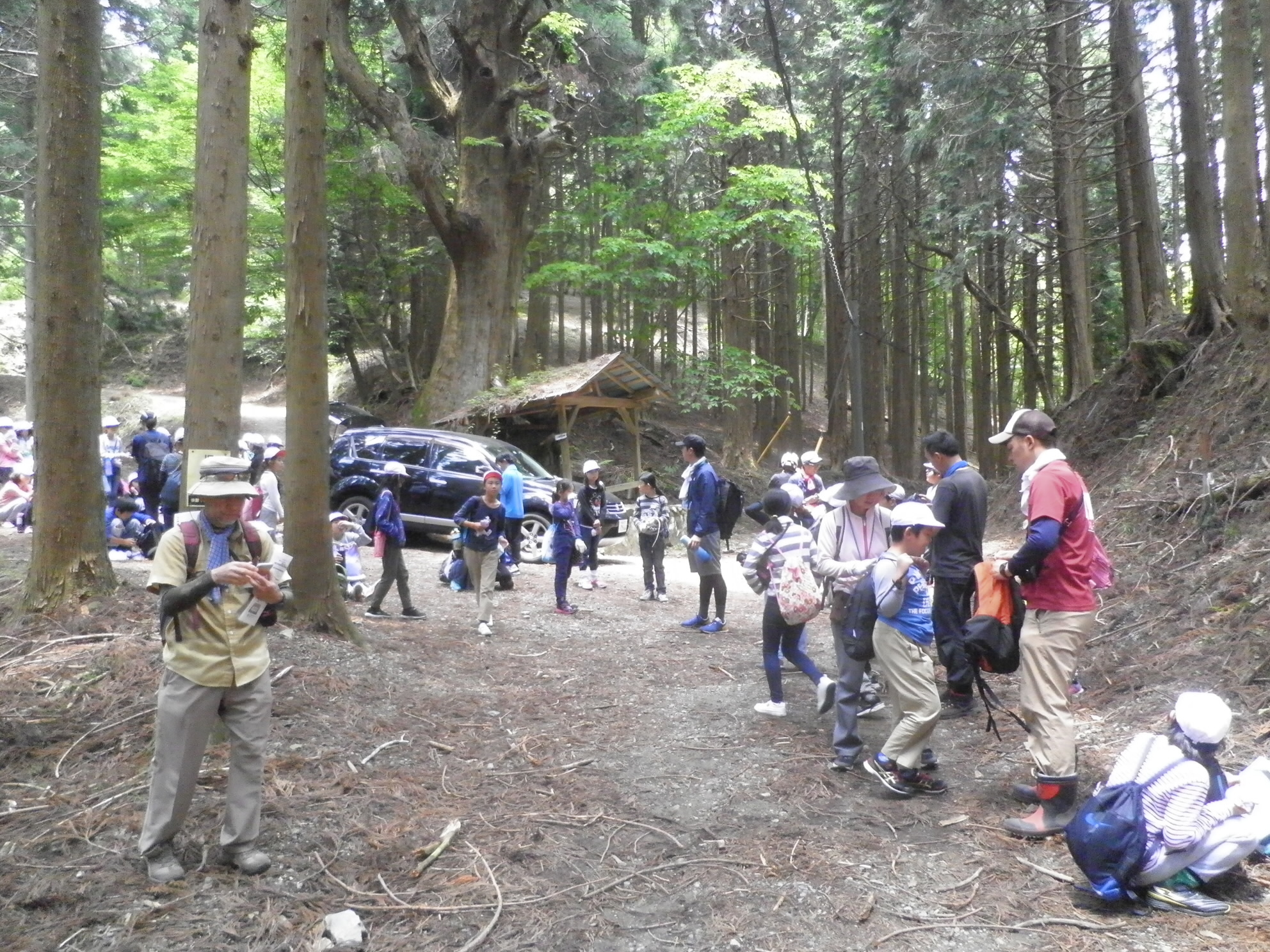 小学生の団体さん。