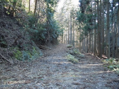 2017/12/02 10:17:30 林道