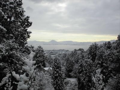カラーなんですが、ほとんどモノクロです。