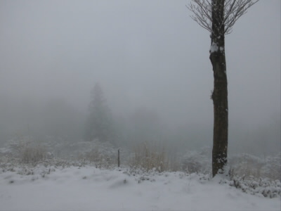 吹雪いているわけでないですが、全然見通しが悪いです。下からみたとおりの雲の中です。
