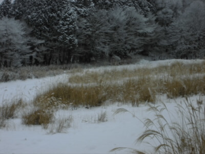 2018/01/14 13:02:26 スキー場跡