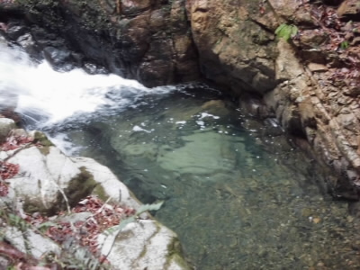 水がとてもきれいいです。