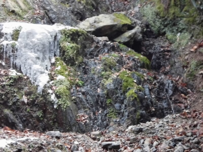 苔の滝の横は凍り付ていました。