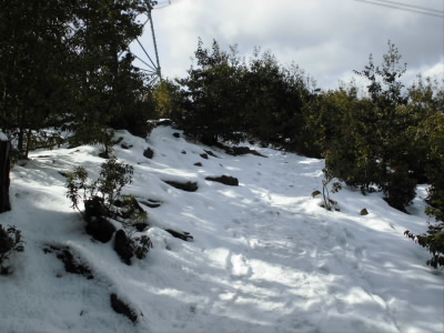 山頂は、雪が積もってます。

