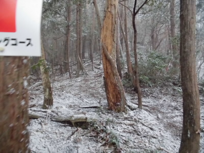 高度が上がると、雪が降り始めました。
低いのにやっぱし山は寒いです。
これからしばらくは吹雪きました。