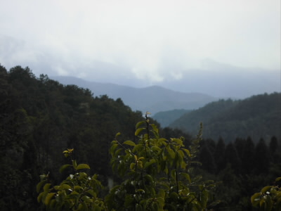 展望が望めるとスタッフの方が張り紙をされていたので、行ってみました。
吹雪いていなかったので、ここまで見えました。