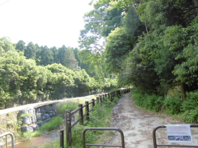 音羽川はいつもならここを上ってきらら坂から比叡山へ登ってますが、今回は下ります