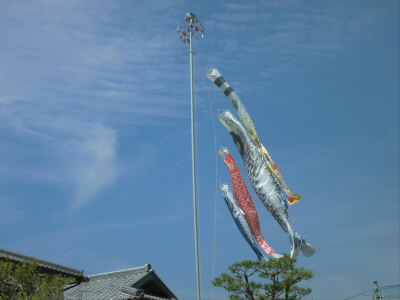 ♪やねよりたかい　こいのぼり
おおきいまごいは　おとうさん
ちいさいひごいは　こどもたち
おもしろそうに　およいでる♪
って、お母さんがいない