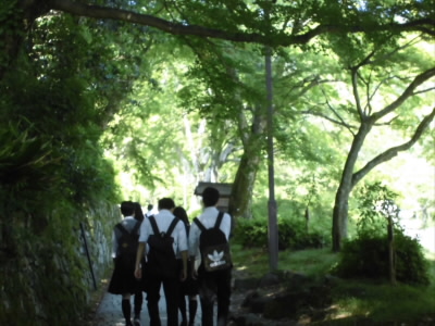 2018/06/03 09:15:49 参道