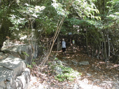 この先の分岐を右を登ると、紀貫之の墓からもたて山へ進みます。