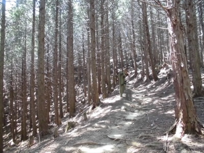 2018/06/03 12:48:16 東海自然歩道