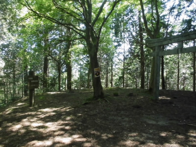 さくら茶屋となっている、休息所。
ほぼ、一時間で到着。