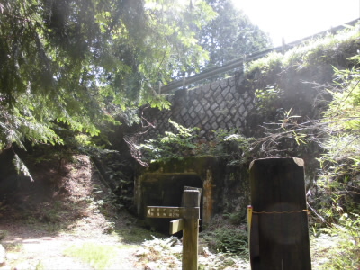 ここを登れば、ホテルや一本杉などへ行けます。
比叡山ドライブウェイの下をくぐります。なんか、道路を作ったため、動物が横断できないのでそのためにつくった道みたいな感じ。
