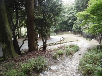 やっと、下山できました。