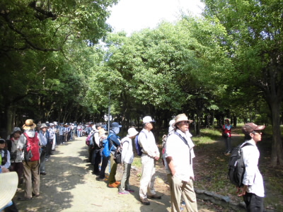 2018/06/09 09:16:31 阪今池公園