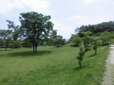 2018/06/09 11:03:34 北山公園