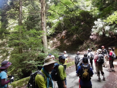 ここで、休憩。だんだんのぼりがきつくなります。