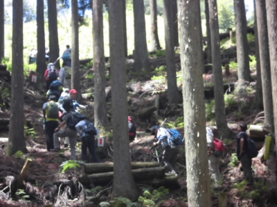 2018/06/16 11:33:12 芹生峠