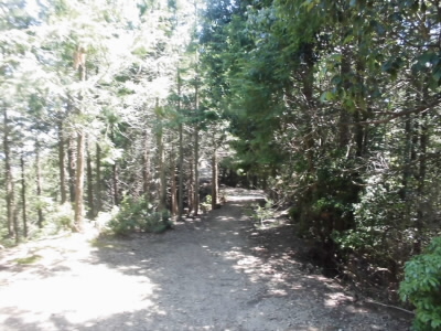 やっと、ここまで帰ってきました。