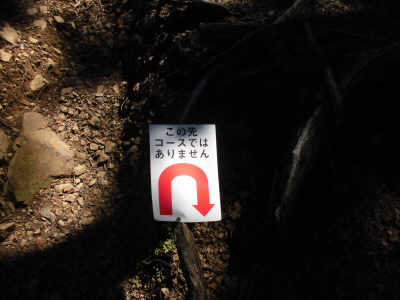 2018/06/16 13:27:17 大岩分岐