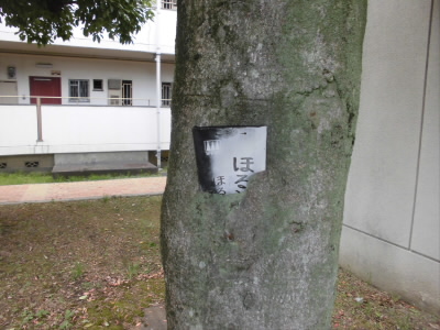 2018/07/01 11:43:03 木