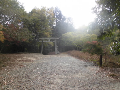 この鳥居の右側を進み、一周トレイルに入ります。