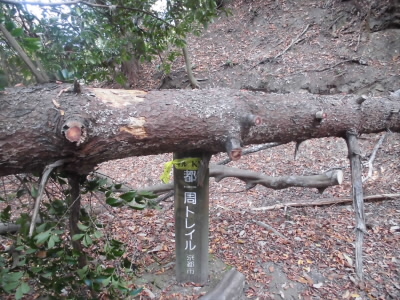 2018/11/17 13:40:26 トレイル 65番