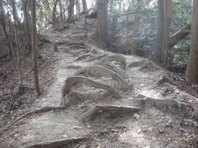 小学校の運動場のタイヤみたい