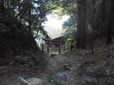 2018/11/17 14:49:30 狸谷