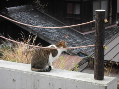 2019/01/03 11:46:49 哲学の道